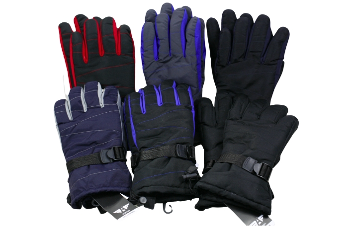 Aerial Ski Gloves - Men's