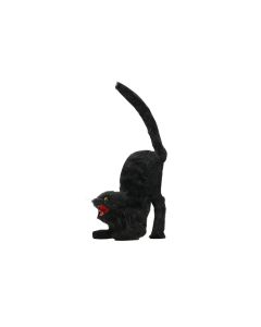 Black Cat