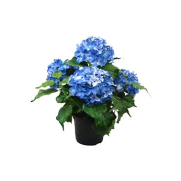 Artificial Flowers  - Blue