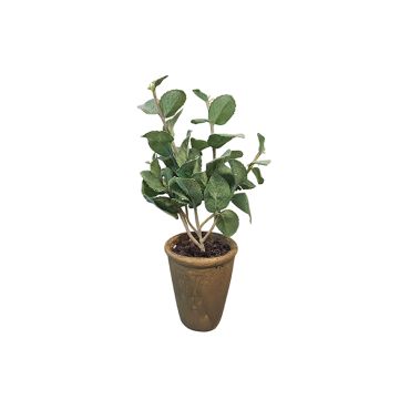 Artificial Plant - Mint Potted