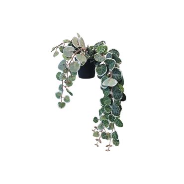 Artificial Plant - Ceropegia Woodii Pot