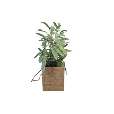 Artificial Plant - Sage Bag Pot