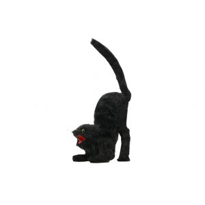 Black Cat