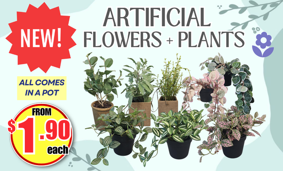 plants